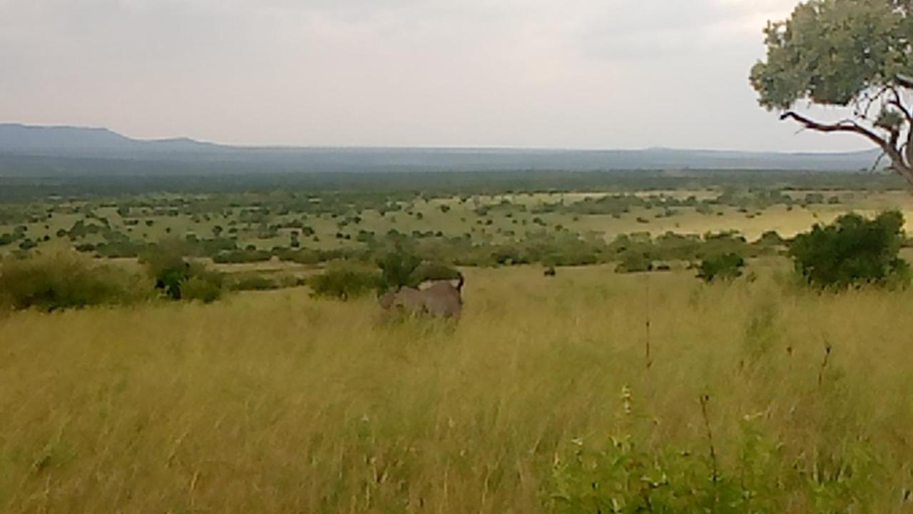 Semadep Safari Camp Sekenani Exterior foto